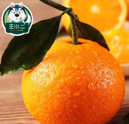 【买1送1】橙子脐橙10斤带箱新鲜水果当季手剥橙甜橙果冻橙冰糖橙