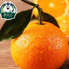 【买1送1】橙子脐橙10斤带箱新鲜水果当季手剥橙甜橙果冻橙冰糖橙